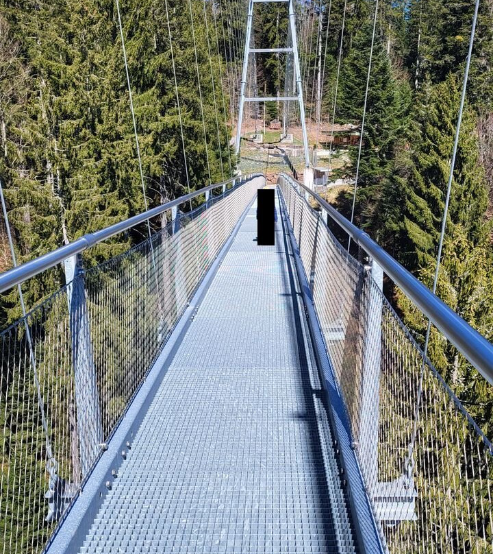 WildLine Hängebrücke-Bad Wildbad必去景点
