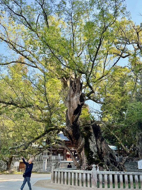 Oyamazumi Shrine-今治市必去景点