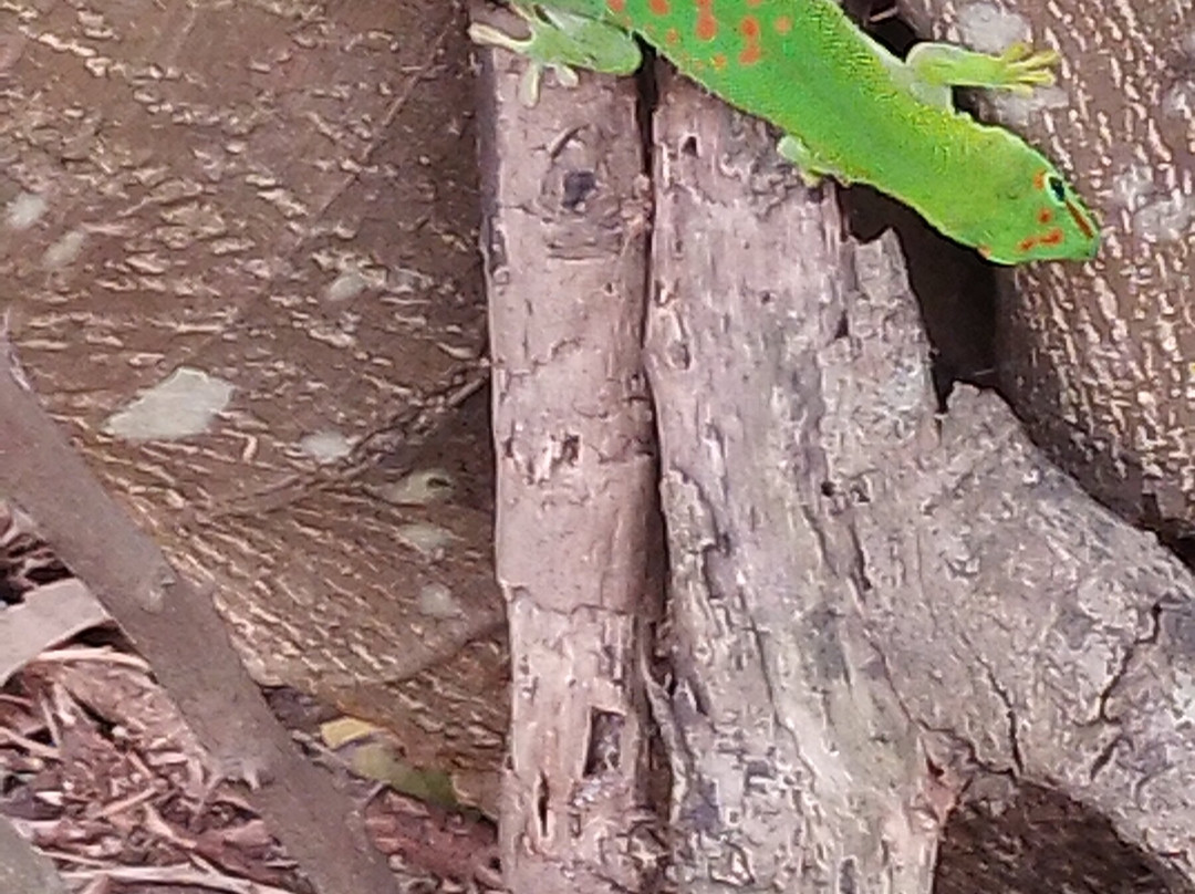 Villa La Colombe主图