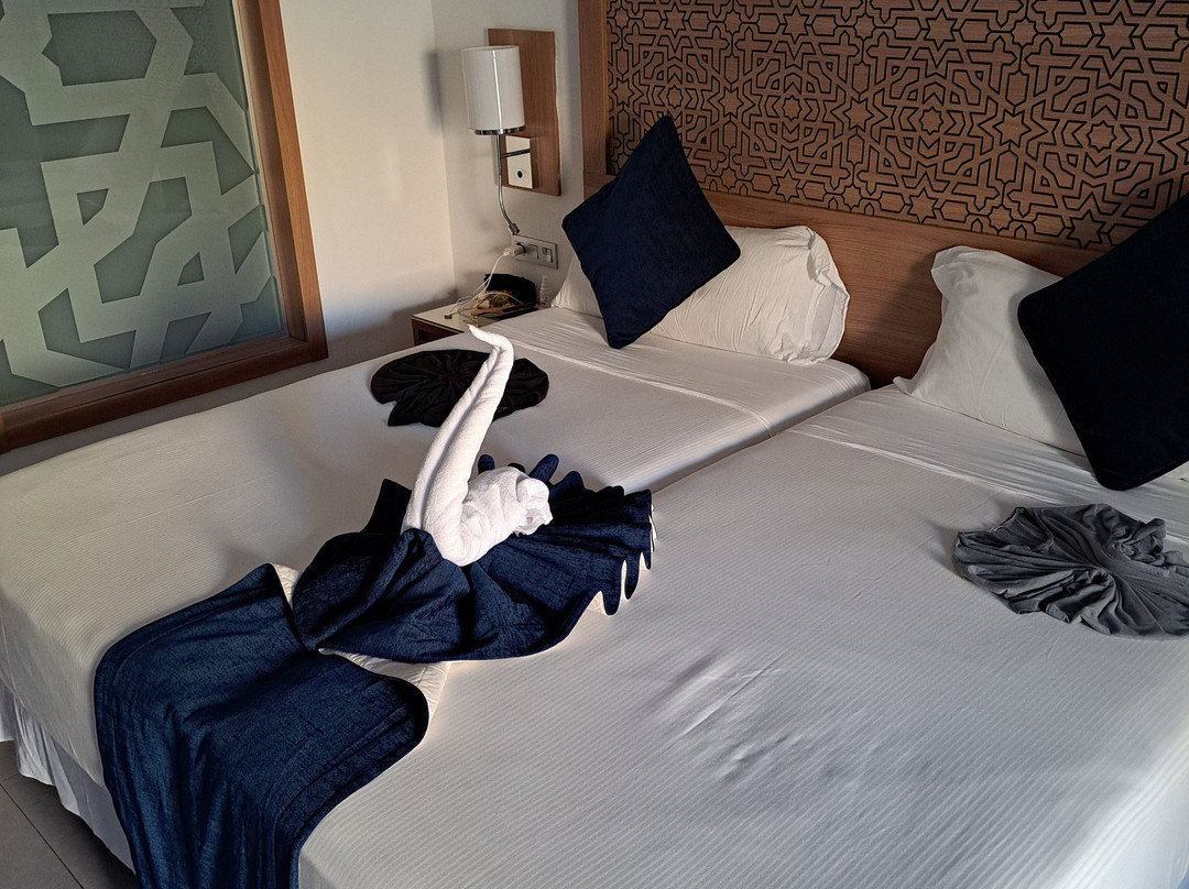 Hotel Riu Palace Boavista主图