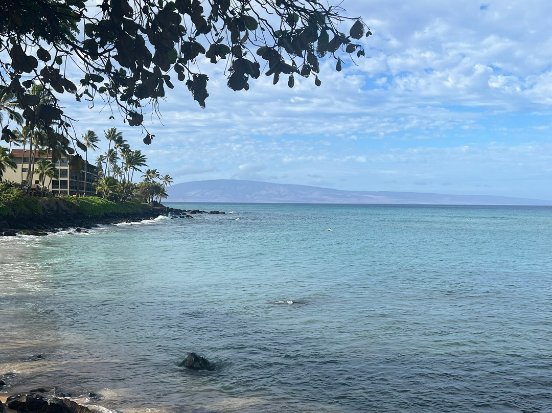 Hanakao'o Beach Park-拉海纳必去景点