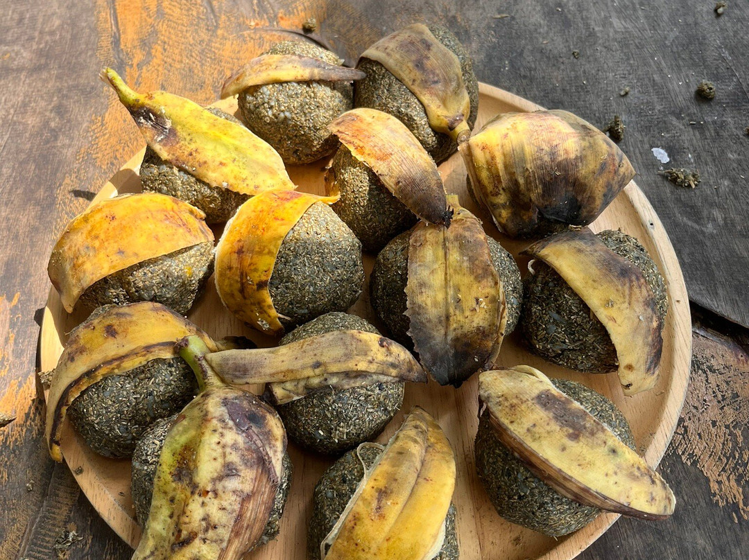 Koh Yao Elephant Beach-阁耀亚伊岛必去景点