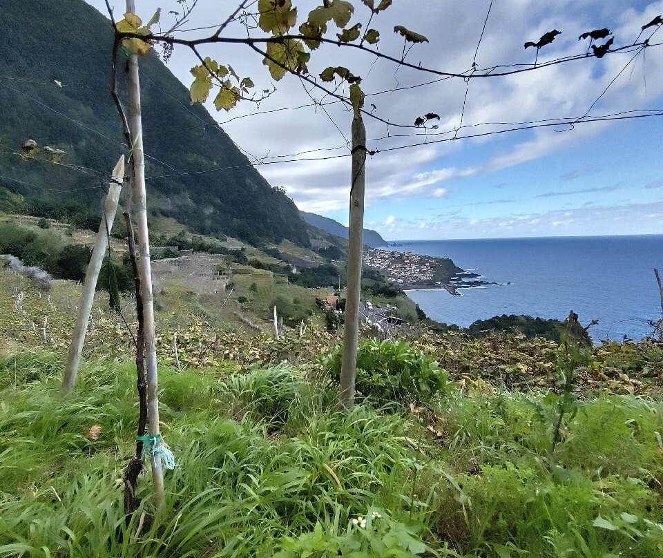 Vinha Do Véu Da Noiva-莫尼什港必去景点