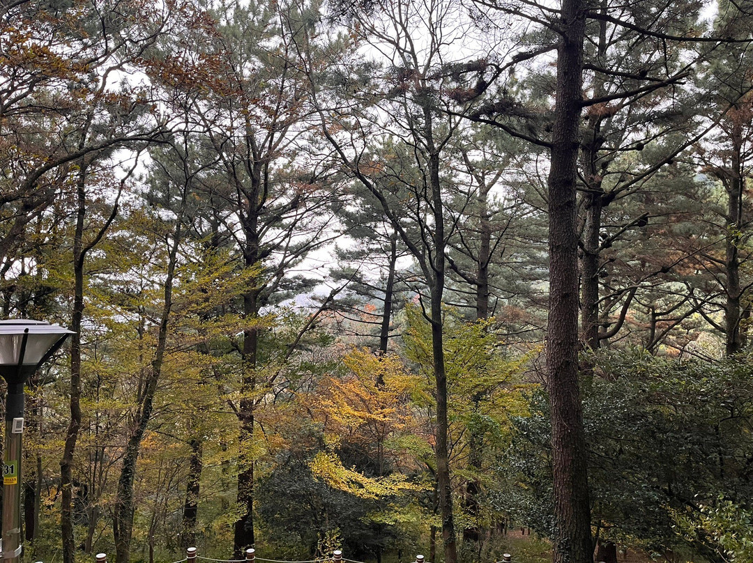 汉拿植物园-济州必去景点