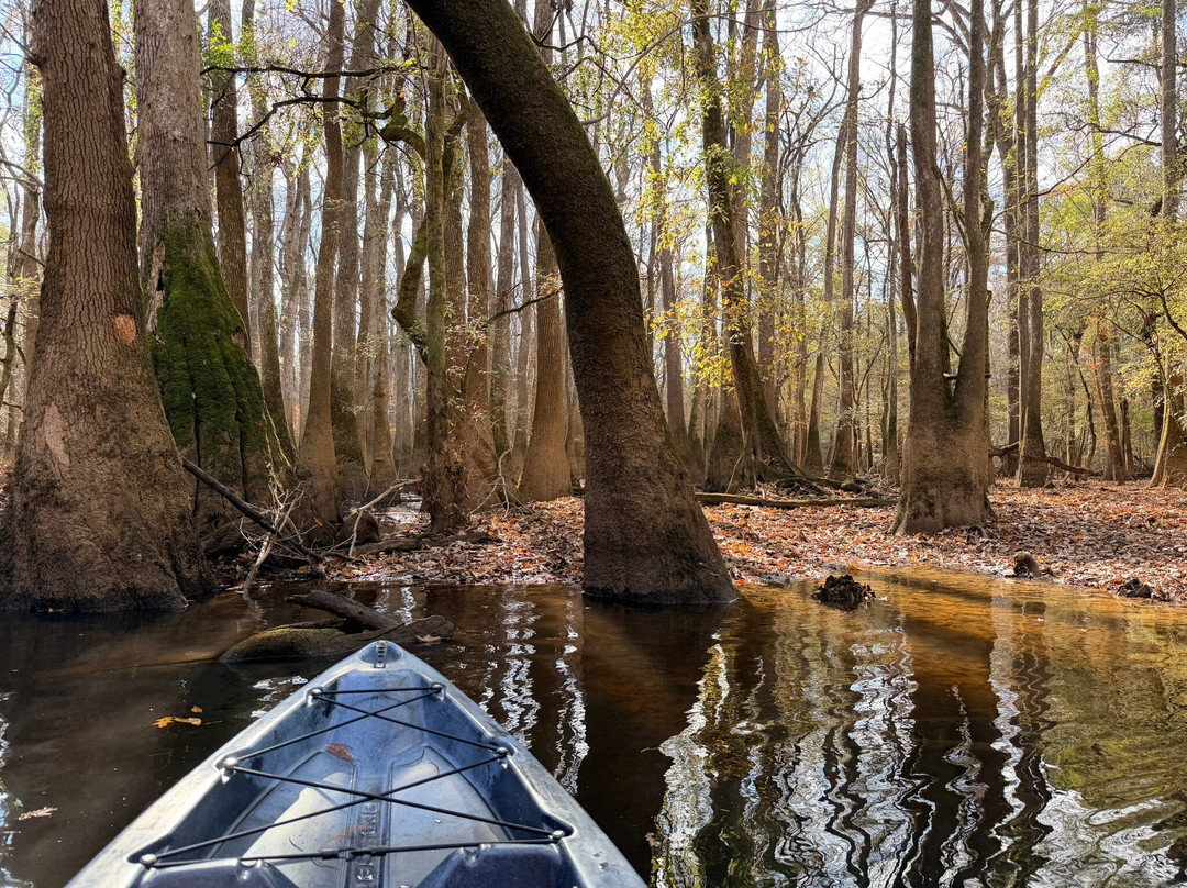 Carolina Outdoor Adventures-厄莫必去景点