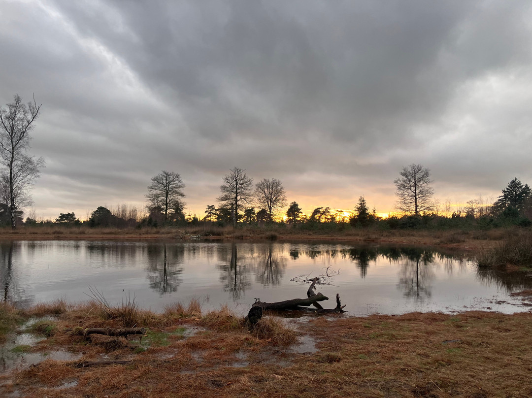 Nationaal Park Drents-Friese Wold-Appelscha必去景点