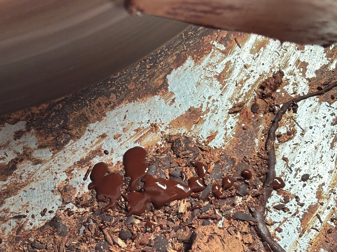 Muoi Cuong Cocoa Farm-芹苴必去景点