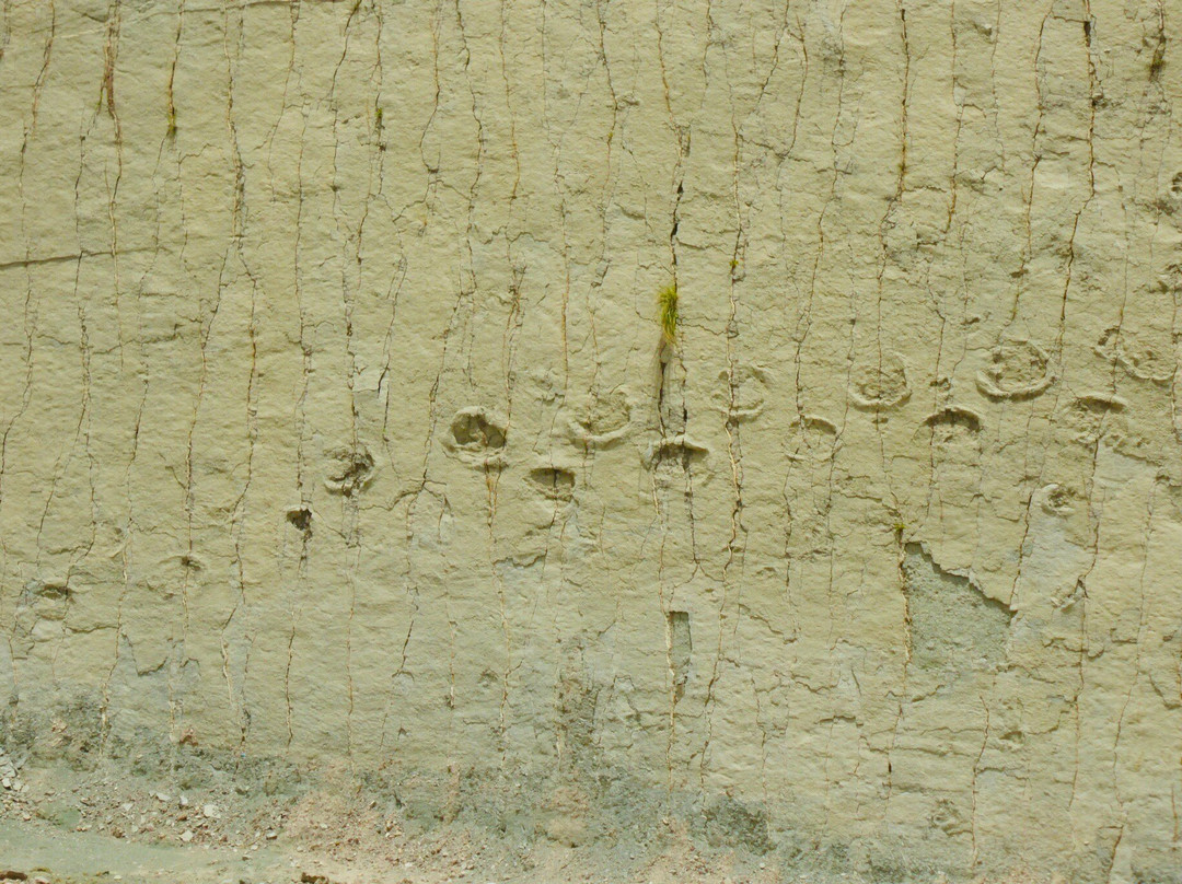 Dinosaur Tracks (Cal Orck'o)-苏克雷必去景点
