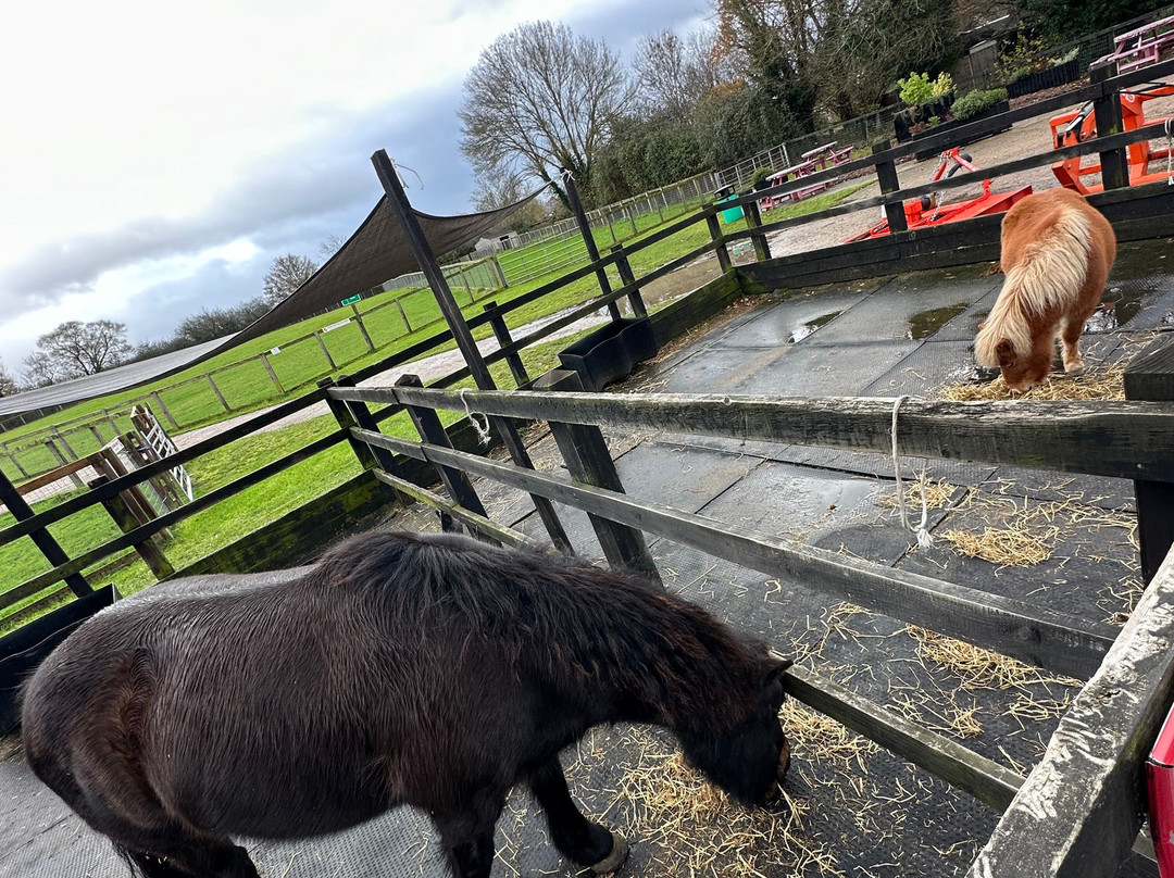 Redwings Ada Cole-Nazeing必去景点