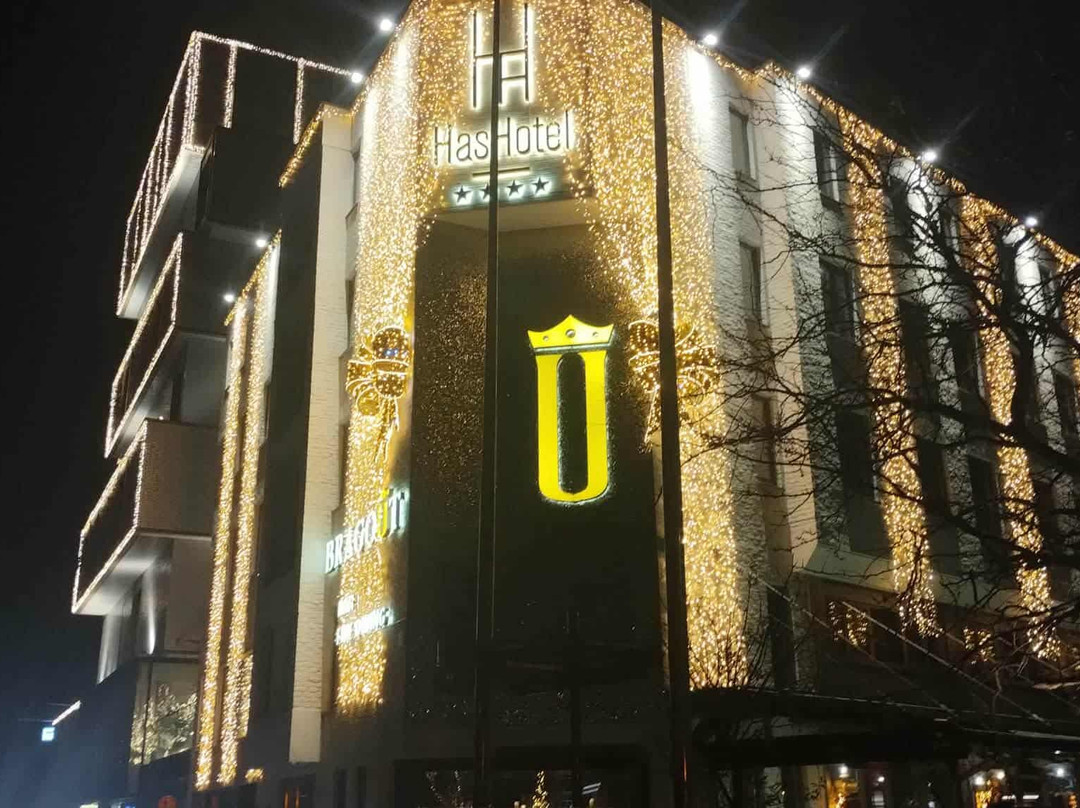 哈萨特尔酒店主图