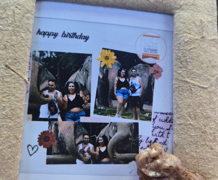 Elephant Jungle Sanctuary Samui-波普特必去景点