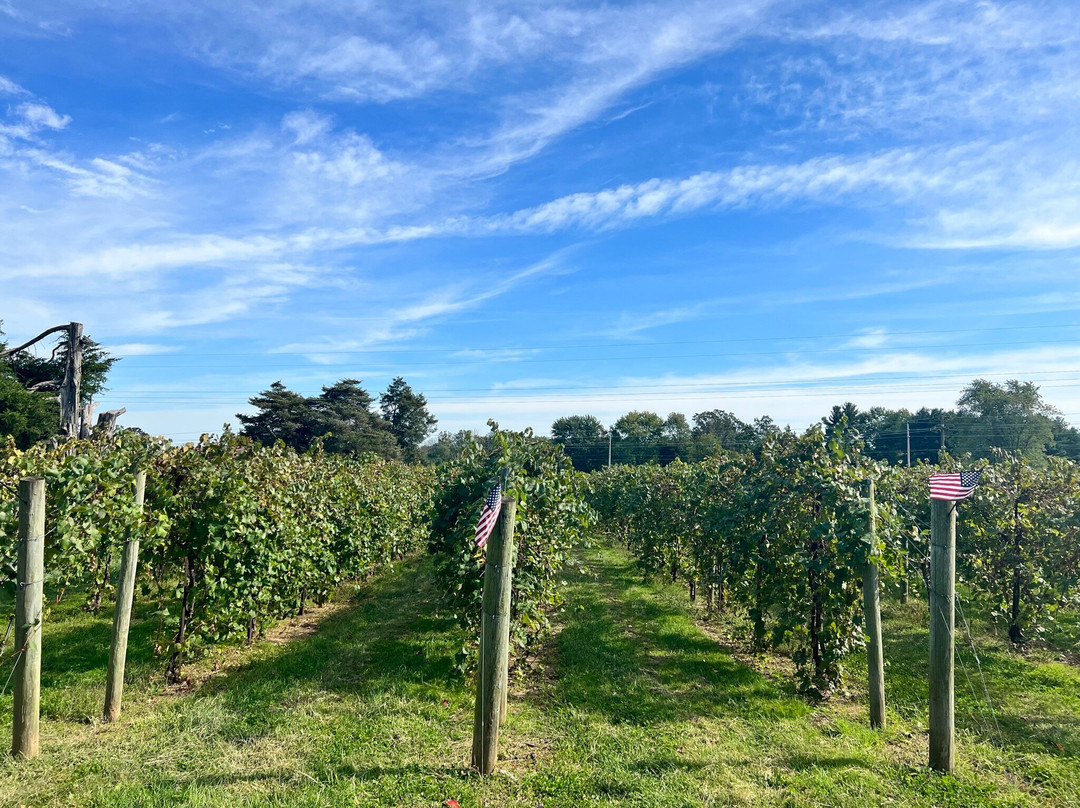 Buckingham Valley Vineyards-Buckingham必去景点