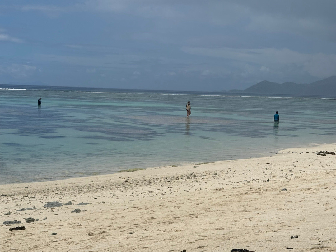 Creole Travel Services-维多利亚必去景点