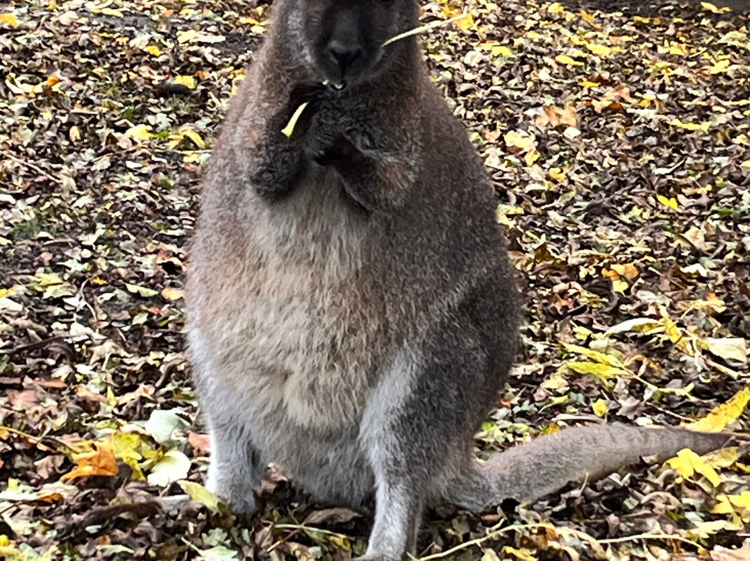 Pangea Park Falster-Nykobing Falster必去景点