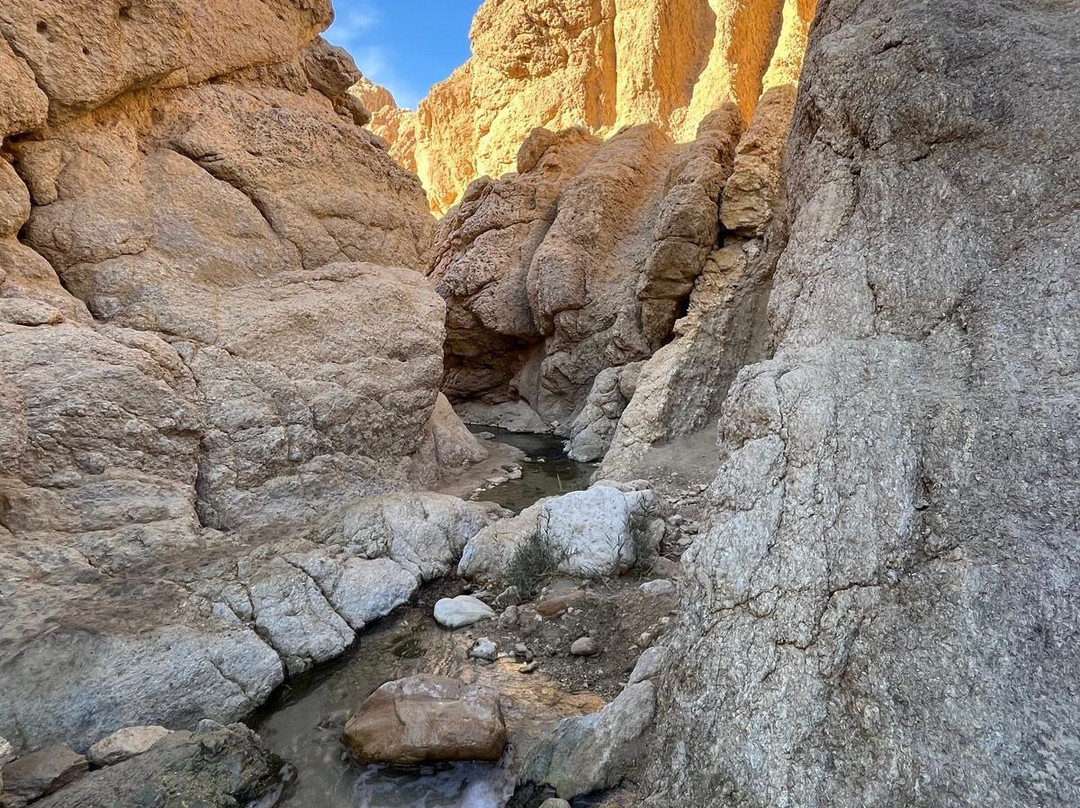 GSA-VOYAGES - Grand Sahara Aventures-杰尔巴岛必去景点