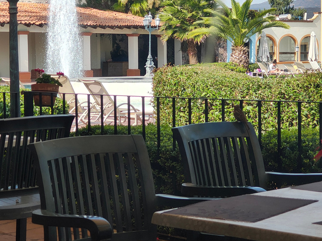 Hotel Mision Grand Juriquilla主图