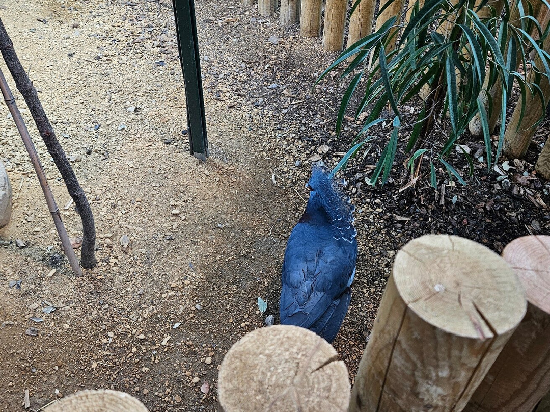 Bristol Zoo Project-Easter Compton必去景点