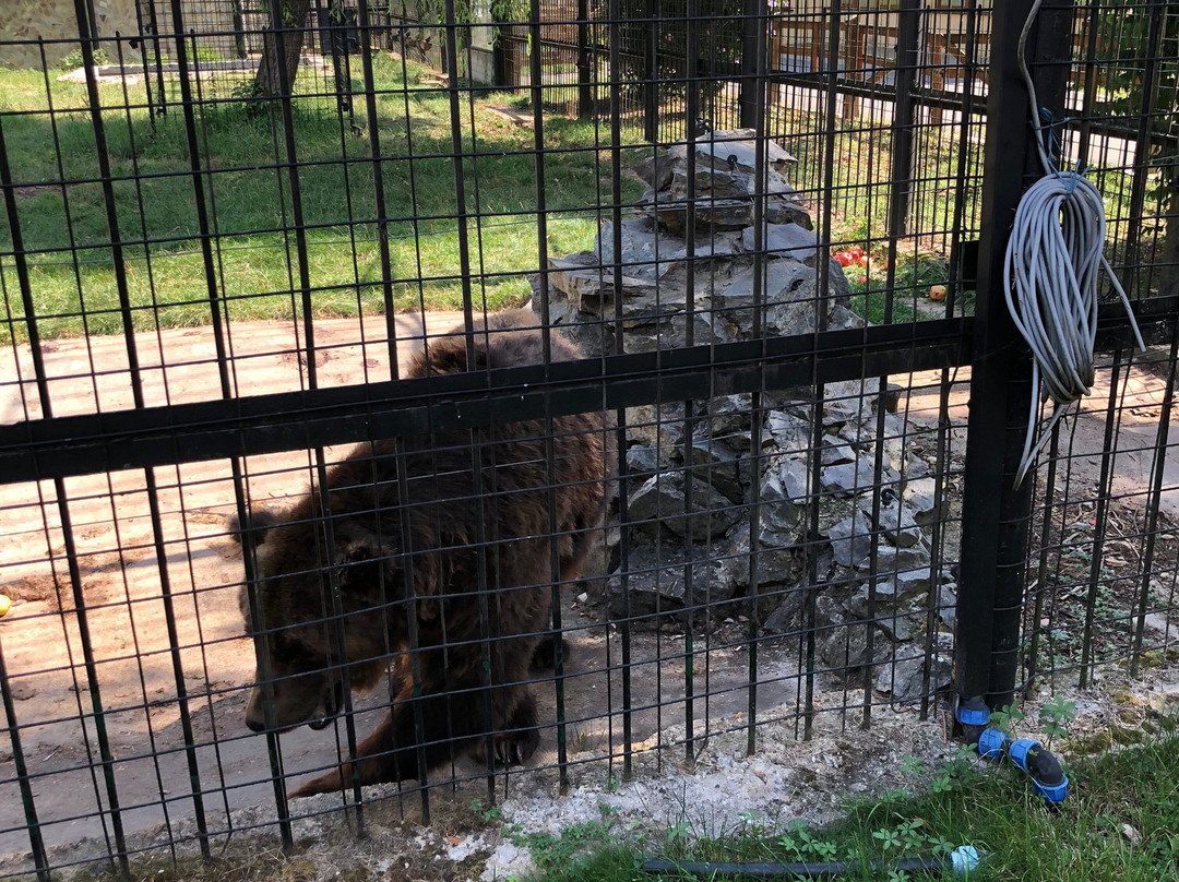 Sibiu Zoological Garden-锡比乌必去景点