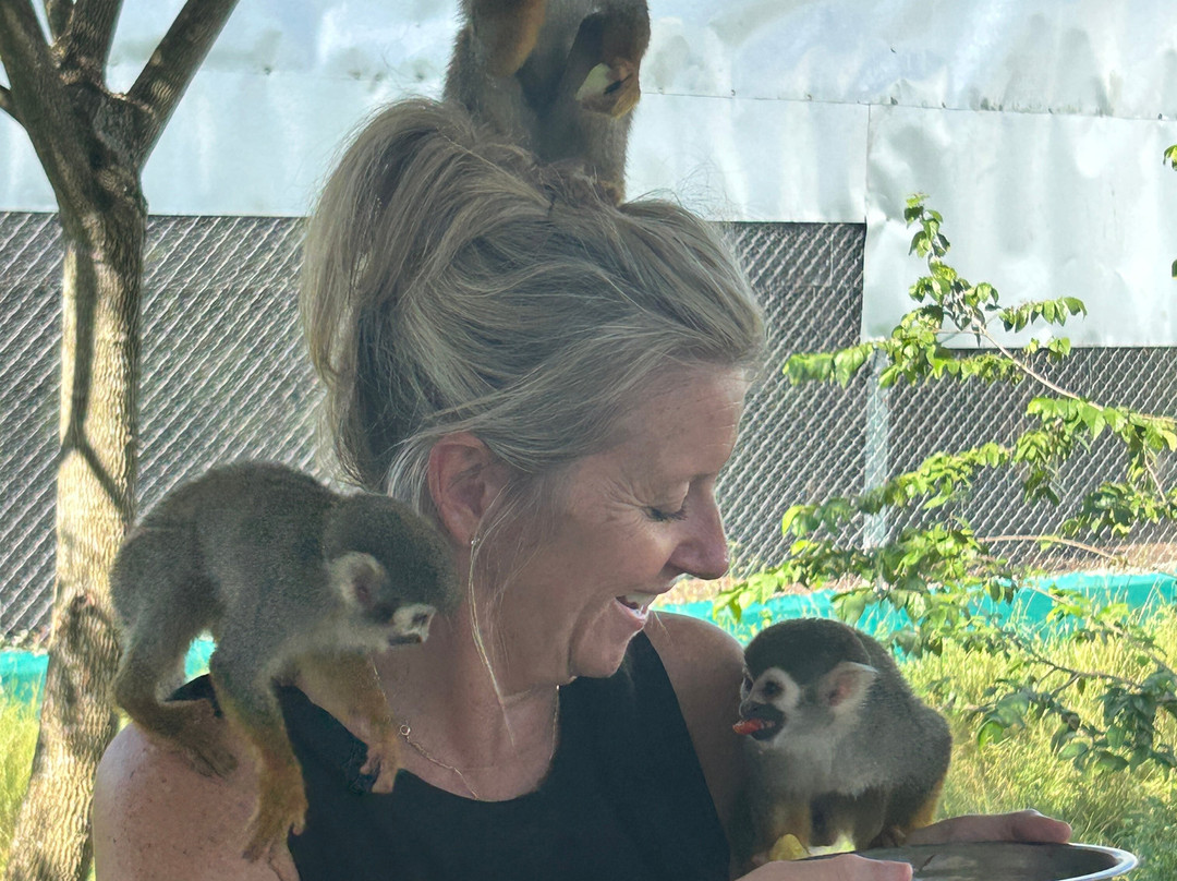 Monkey Home Puerto Plata-普拉塔港必去景点