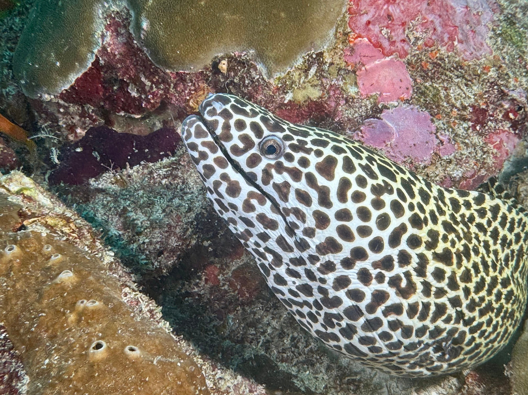 Dune Maldives-胡鲁马累必去景点