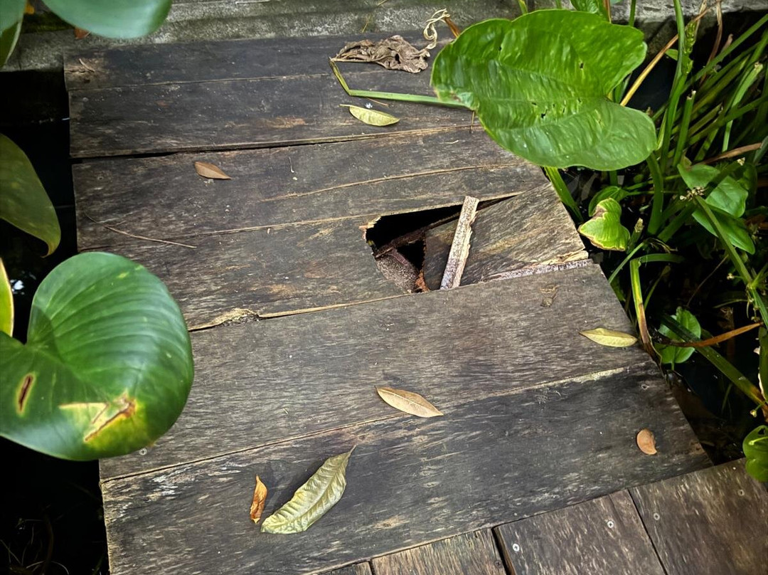 Dontrei Villa Angkor主图