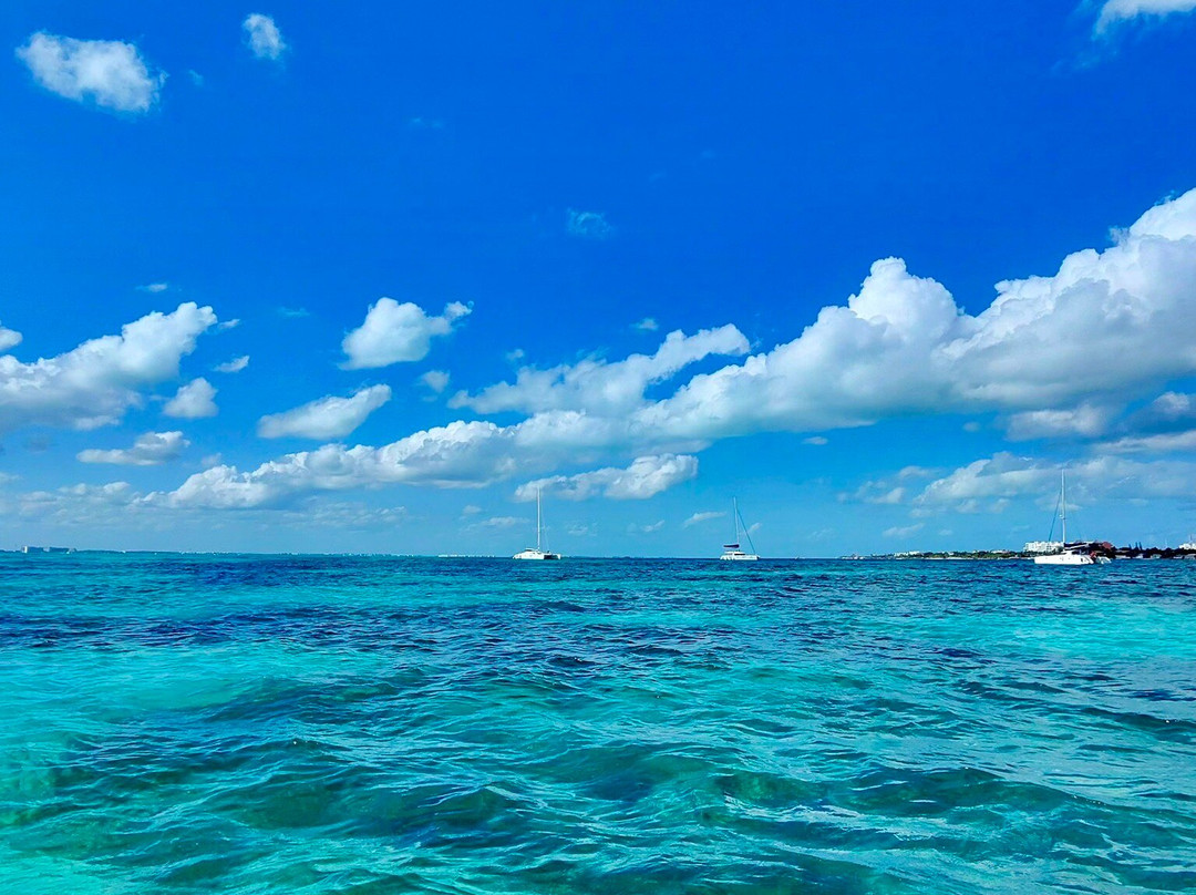 Pamela Tours Fishing & Snorkeling-女人岛必去景点