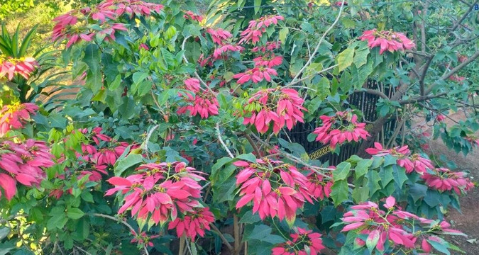 Ratanakiri Farmhouse & Trekking