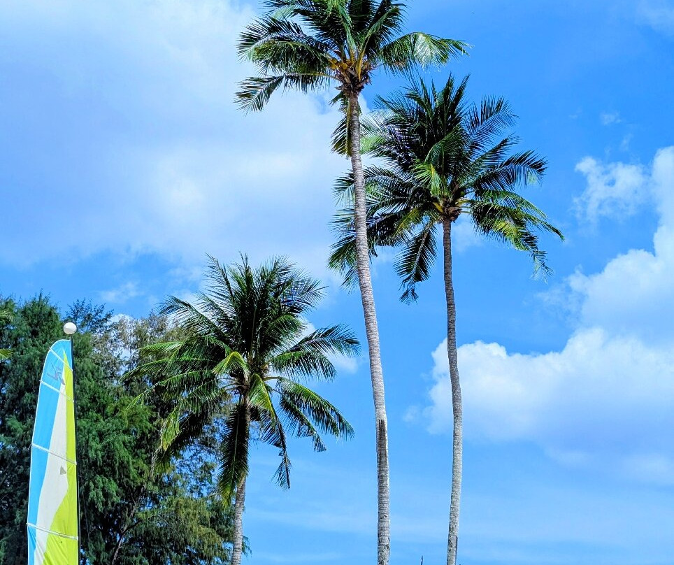 Hilton Garden Inn Phuket Bang Tao主图