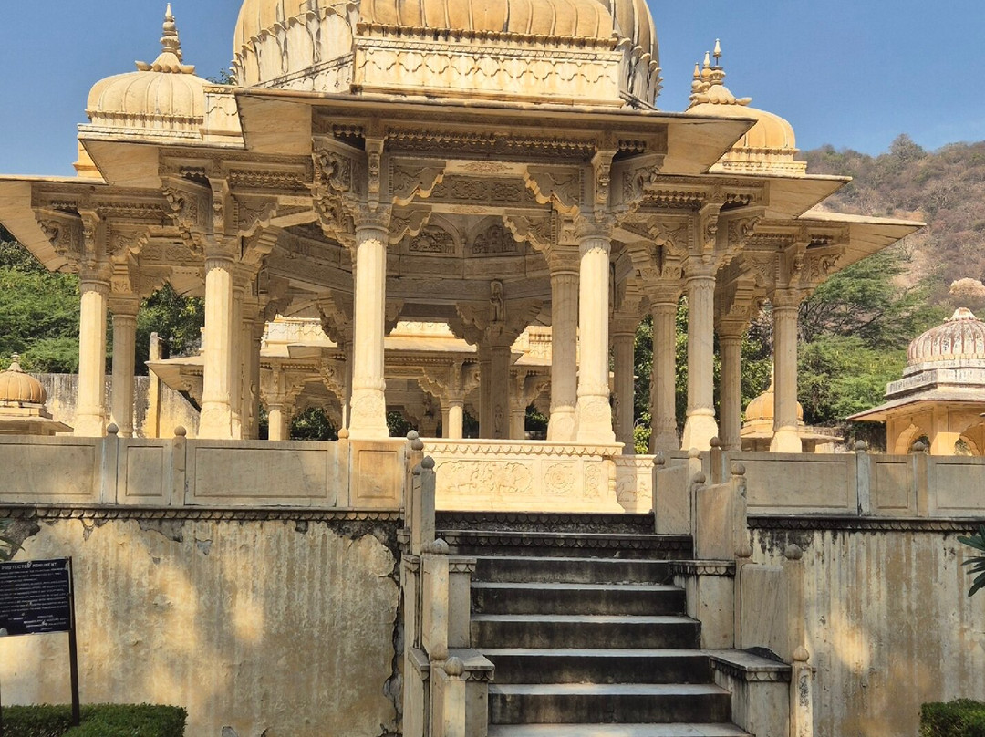 Rakesh “Private"Driver India-新德里必去景点