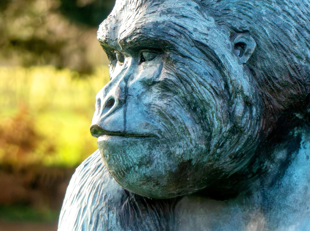 Parc du Chateau des Peres-Pire-sur-Seiche必去景点