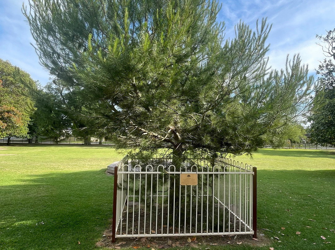 Sale Primary School War Memorial-塞尔必去景点