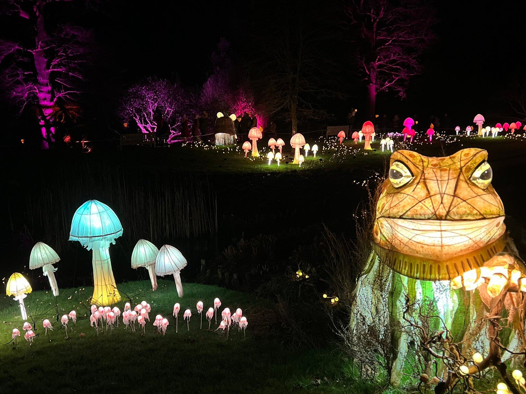 Wakehurst-Haywards Heath必去景点