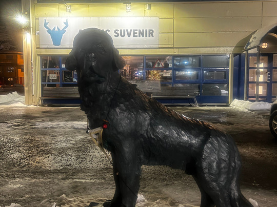 Bamse statue-霍宁斯沃格必去景点