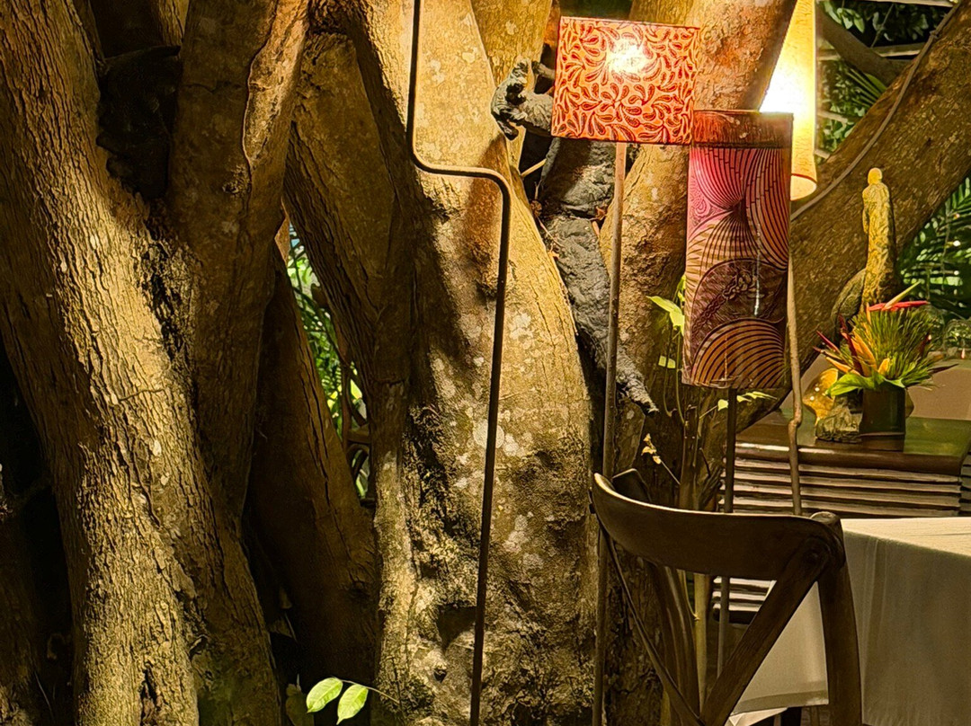 La Maison D'Akoula主图