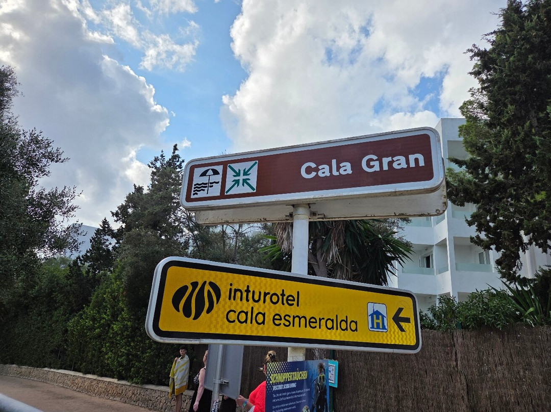 Playa Cala Gran-卡拉多尔必去景点