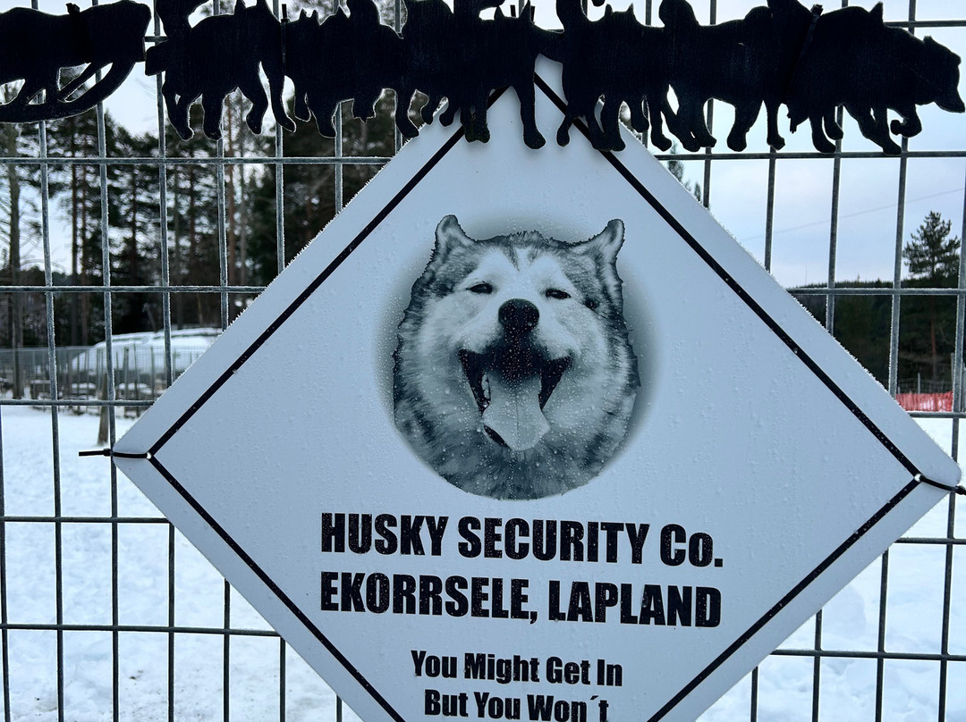 Aurora Borealis Adventures-Vindeln必去景点