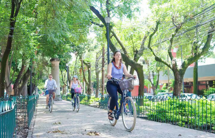 El Taco Club-墨西哥城必去景点