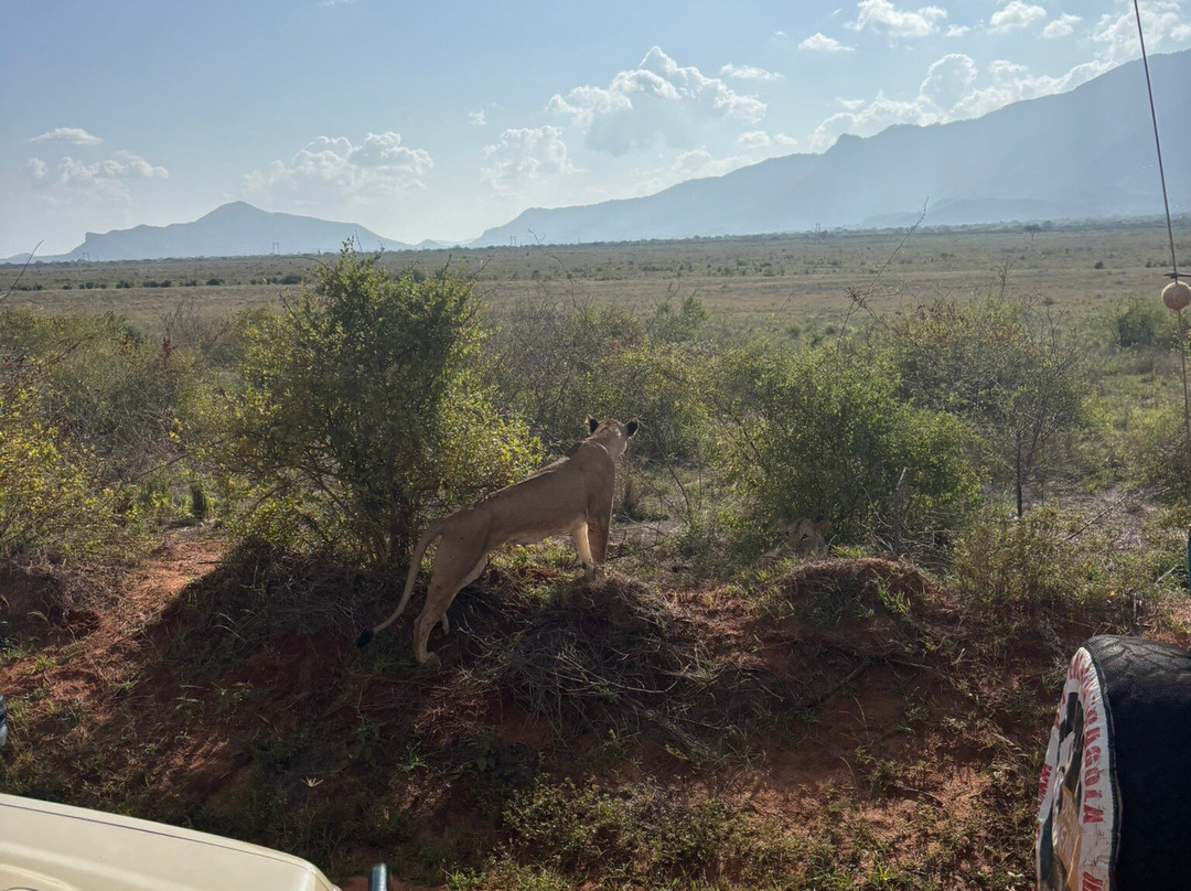 Agenzia Safari Vera Africa-东察沃国家公园必去景点