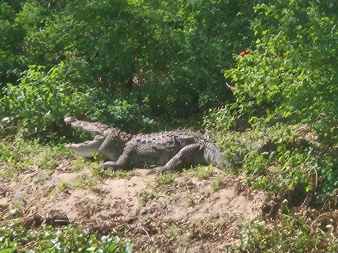 Manu Tours & Travels-亚洪加拉必去景点
