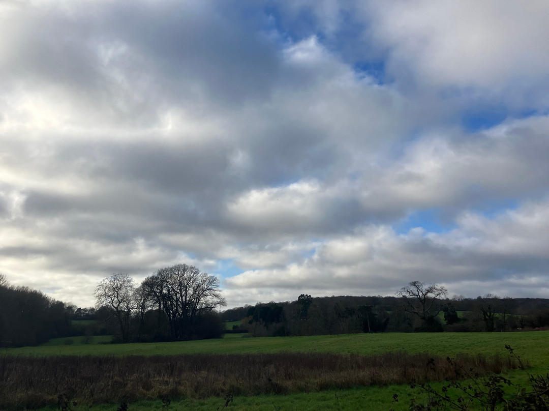 Ightham Mote Estate Walking Trails-Ightham必去景点