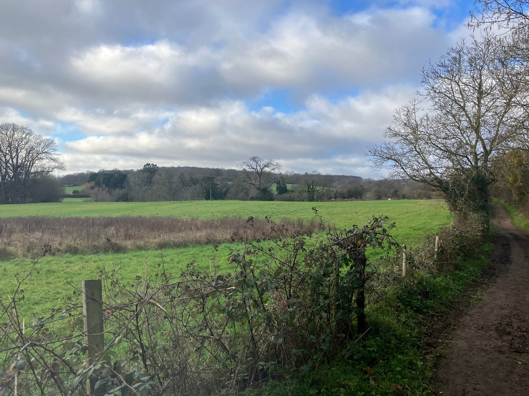 Ightham Mote Estate Walking Trails-Ightham必去景点
