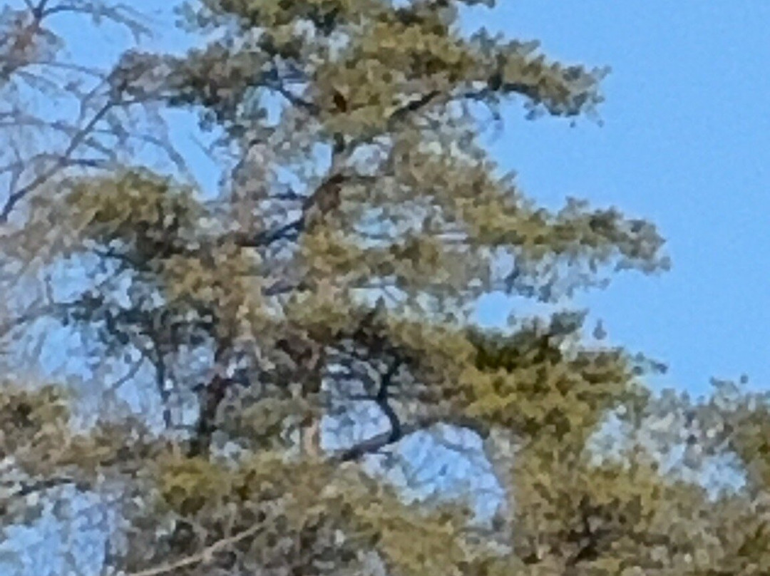 Pale Fire Brewing Co.主图