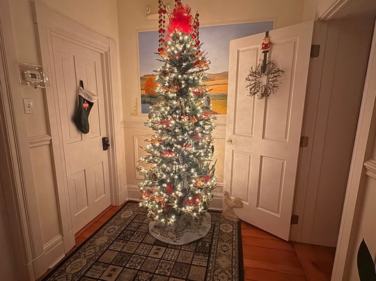 EJ Bowman House Bed and Breakfast主图