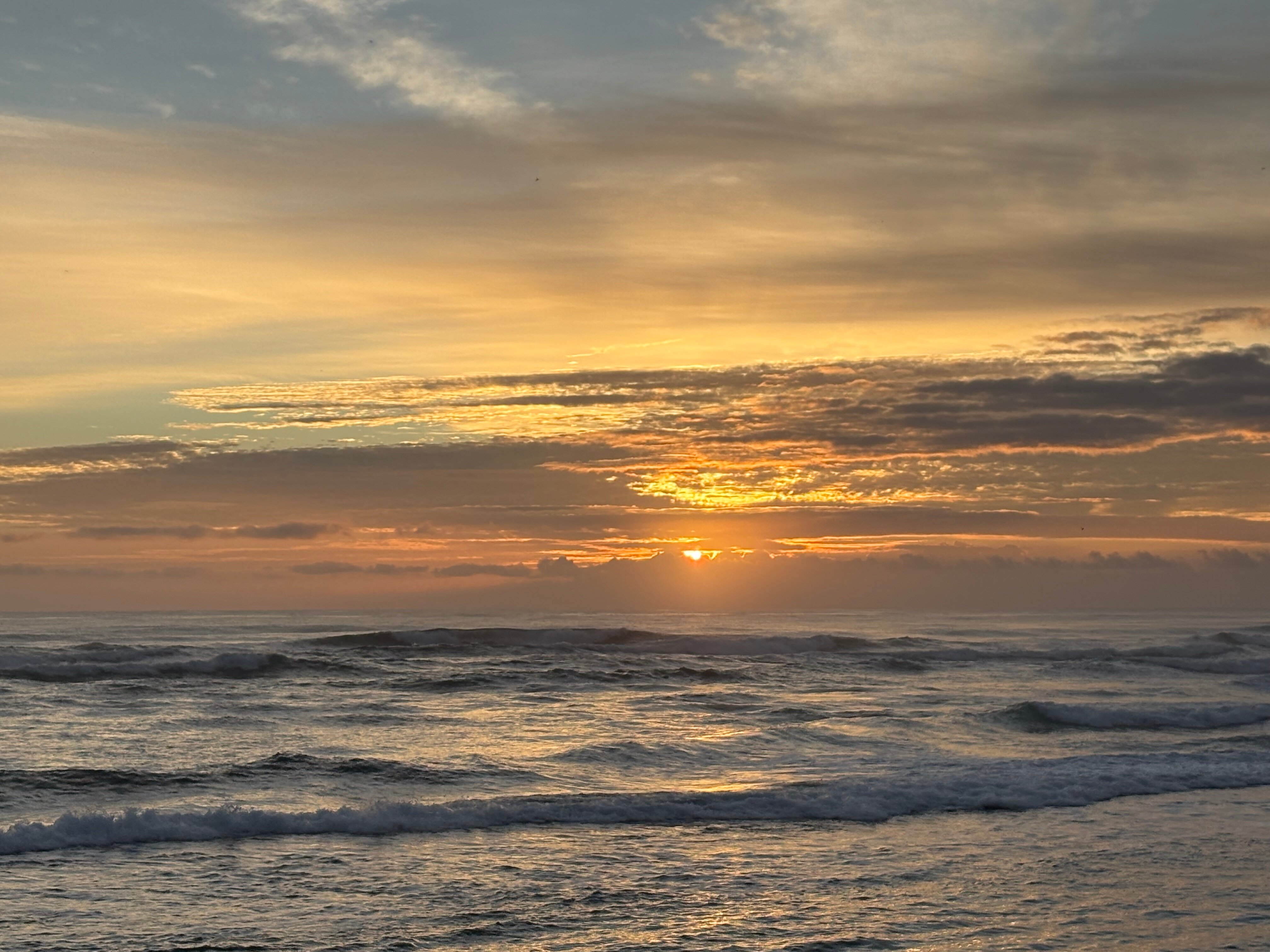 考艾岛海滩度假村-官方