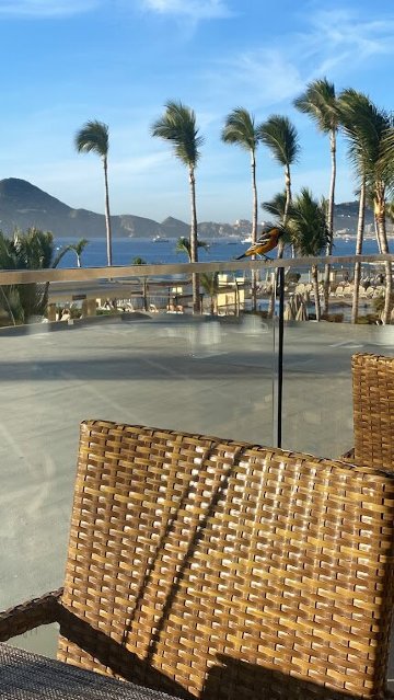 卡波圣卢卡斯悦宜湾奢享酒店-浴室