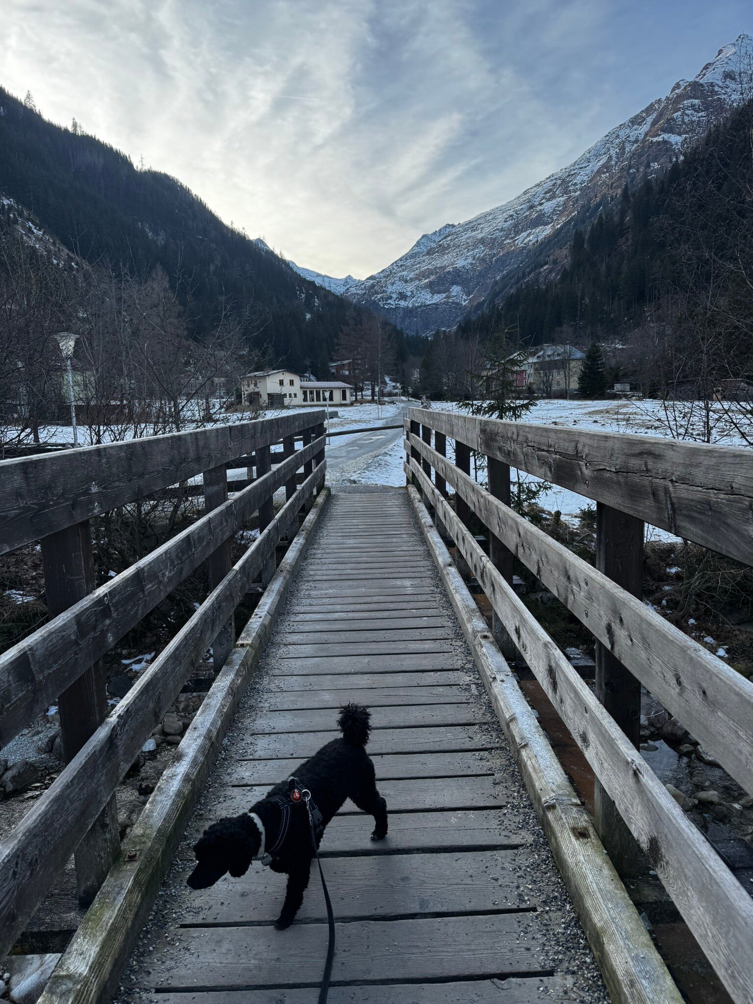 Grubers Hotel Apartments Gastein-官方