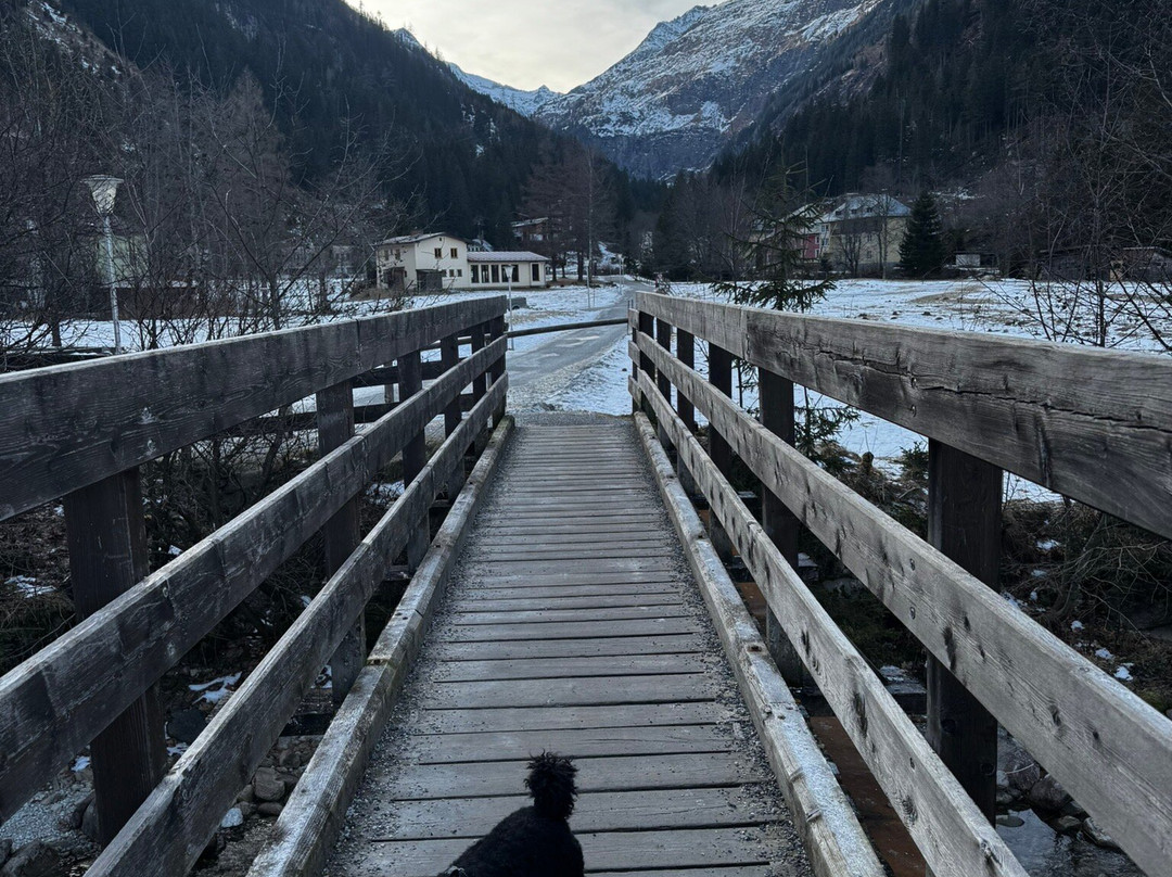 Grubers Hotel Apartments Gastein主图