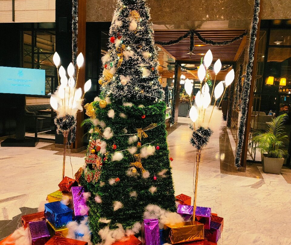 Hotel Polo Towers Agartala主图