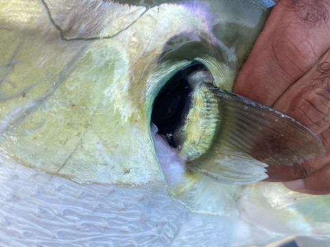 Al Sansool-马斯喀特必去景点