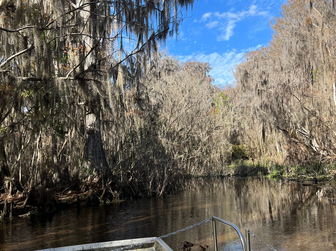 Swamp Fever Airboat Adventures-Lake Panasoffkee必去景点